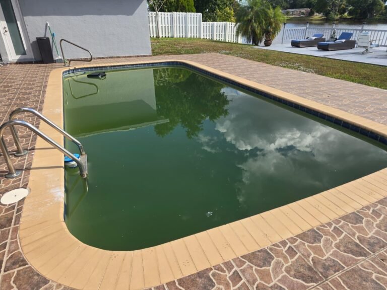 Linces pool - Why Your Pool Turns Green in Florida (And How to Fix It Fast)