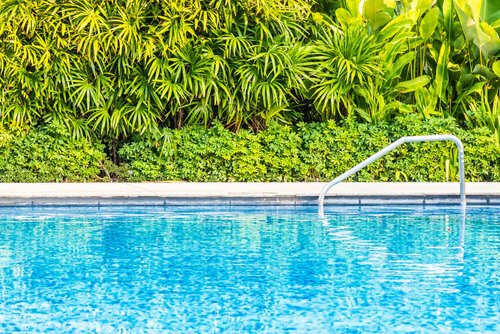 Linces pool - How Much Does Pool Cleaning Cost in South Florida