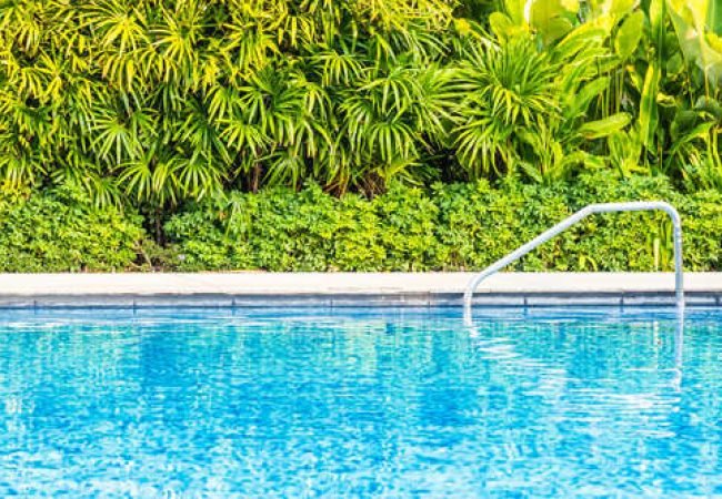 Linces pool - How Much Does Pool Cleaning Cost in South Florida