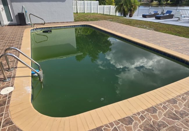 Linces pool - Why Your Pool Turns Green in Florida (And How to Fix It Fast)
